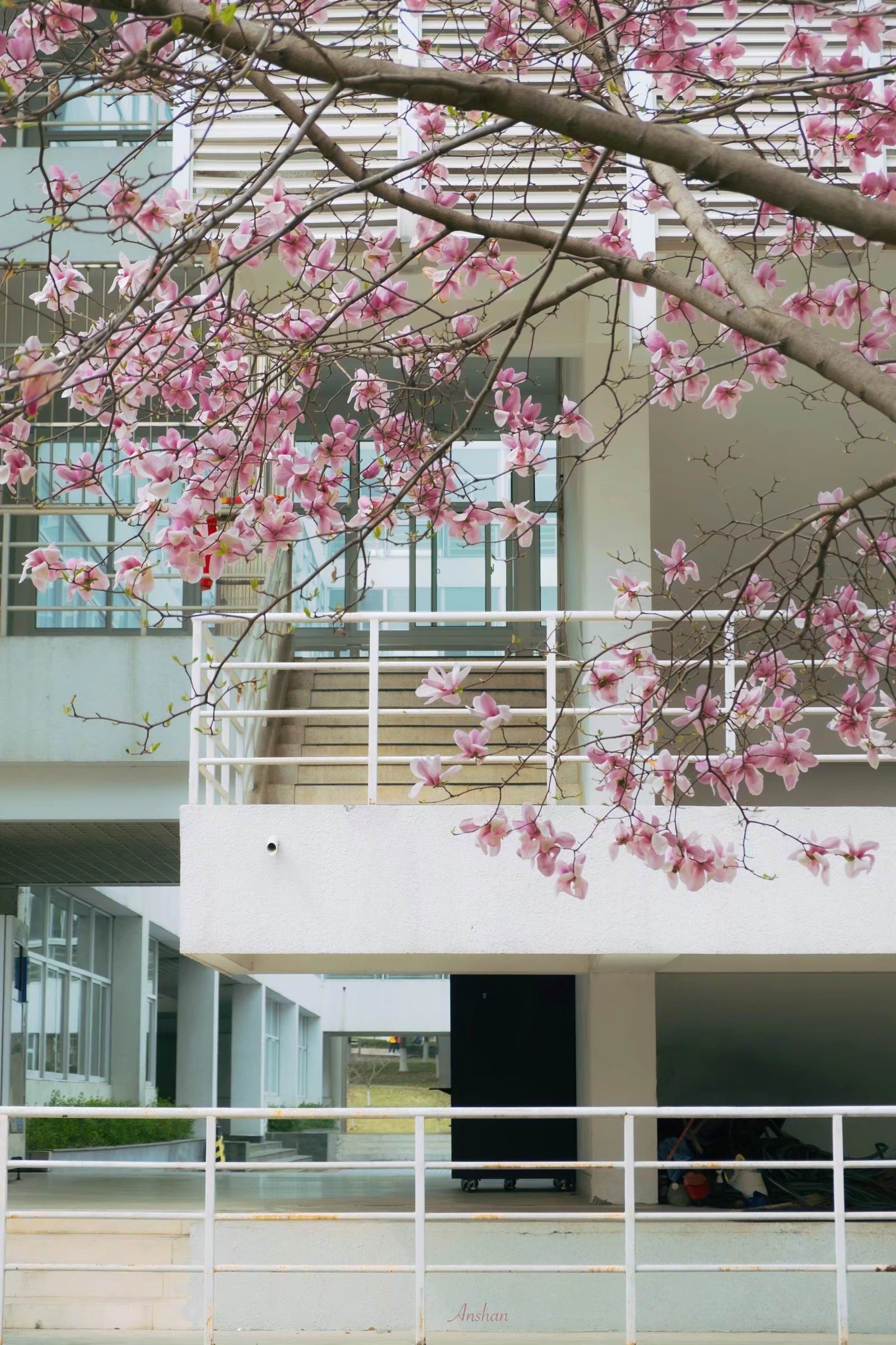 The Home Society of Chemistry